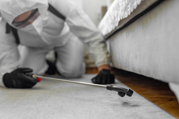Professional Termite Control technician working in Herington, KS