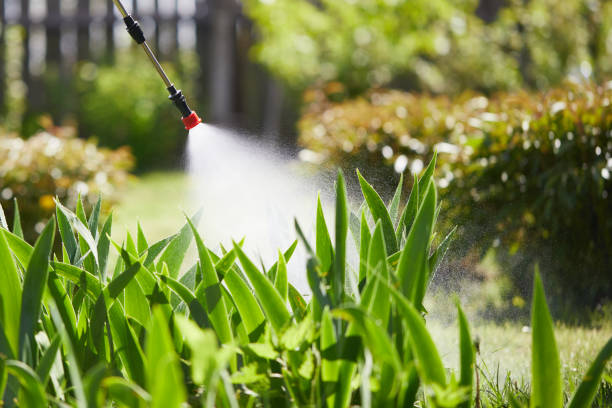 24/7 Emergency Termite Control experts in Herington, KS