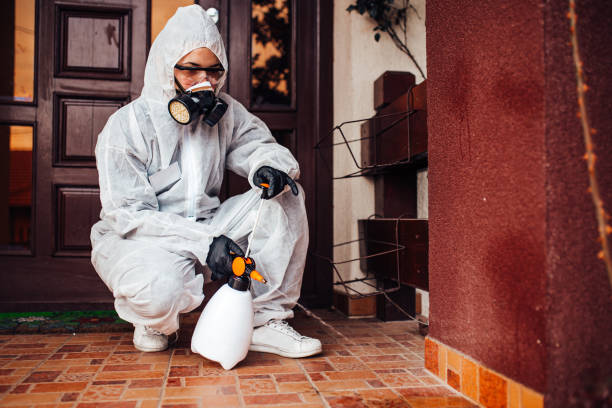 Reliable Termite Control contractor in Herington, KS by Nex Pest Control