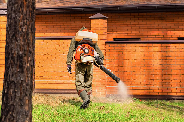 Trusted Termite Control service in Herington, KS - Nex Pest Control